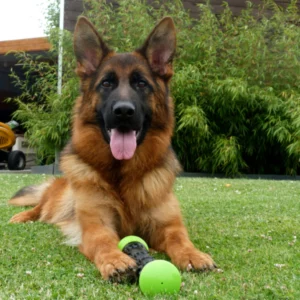 Shakira_Mont_d_Osiris