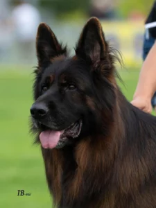 Solaar-du-Val-d_Anzin